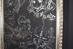 展示41