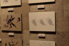 展示28