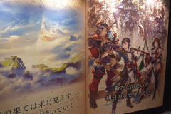 展示14