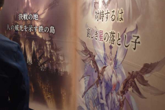 展示12