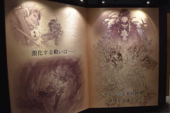 展示11
