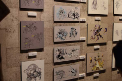 展示29