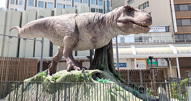 福井駅 恐竜ロボット ティラノサウルス 横1