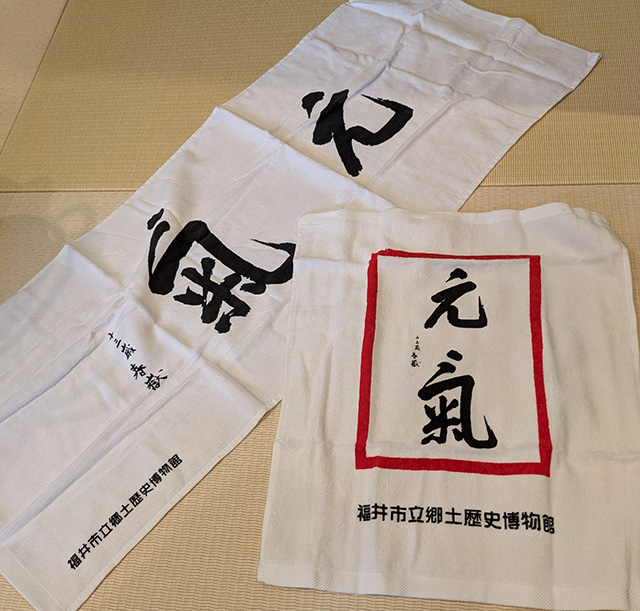 福井県 宝永旅館 将軍ルーム タオル3