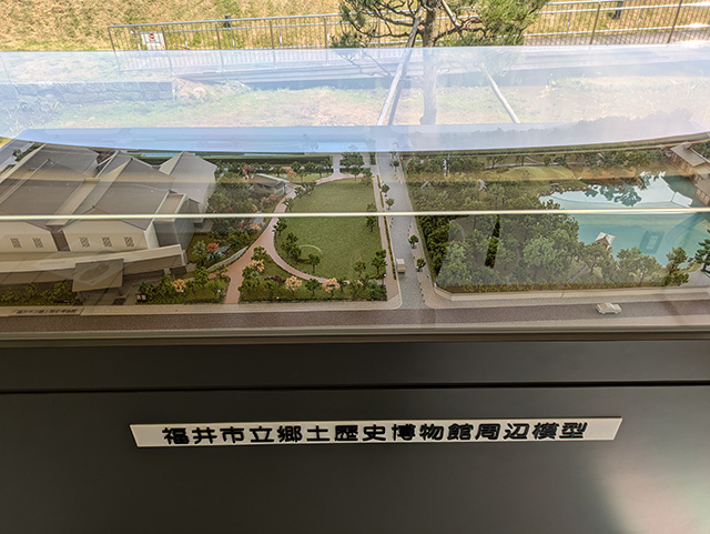 福井市立郷土歴史博物館 展示物3