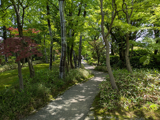 養浩館庭園1