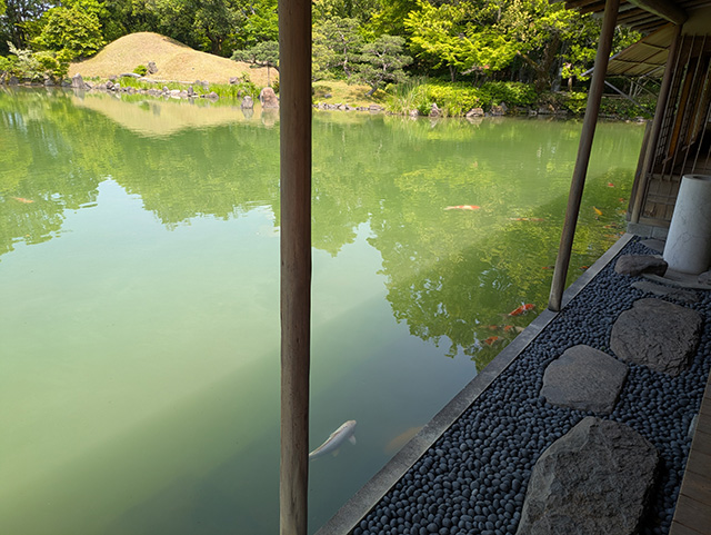 養浩館庭園3