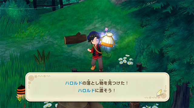牧場物語 風のグランドバザール 探し物 ハロルド ハロルドの落とし物 取得場所 詳細